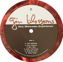 Gin Blossoms: New Miserable Experience US vinyl album reissue