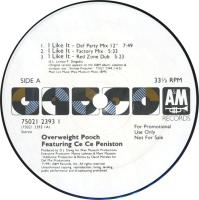 Overweight Pooch: I Like It US promo 12-inch