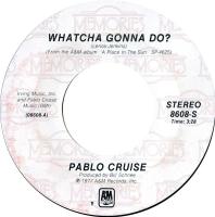Pablo Cruise: Whatcha Gonna Do? US 7-inch reissue