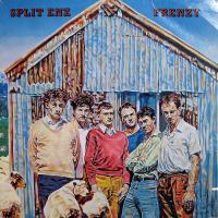 Split Enz: Frenzy US vinyl album reissue