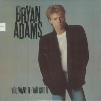Bryan Adams: You Want It You Got It US vinyl album reissue