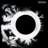 Bauhaus: The Sky's Gone Out US vinyl album reissue