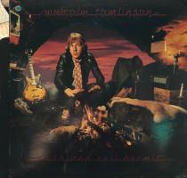 Malcolm Tomlinson: Rock and Roll Hermit US vinyl album