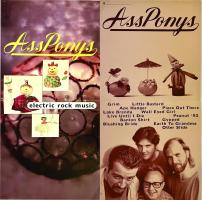 Ass Ponys: Electric Rock Music US postcard