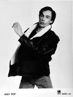 Iggy Pop Germany publicity photo