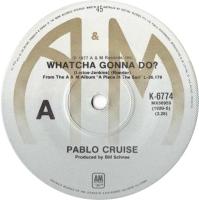 Pablo Cruise: Whatcha Gonna Do? Australia 7-inch