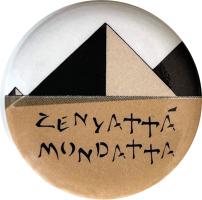 Police: Zenyatta Mondatta US pin