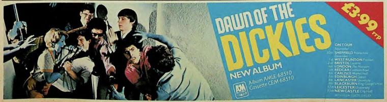 Dickies: The Dawn Of the Dickies Britain album ad