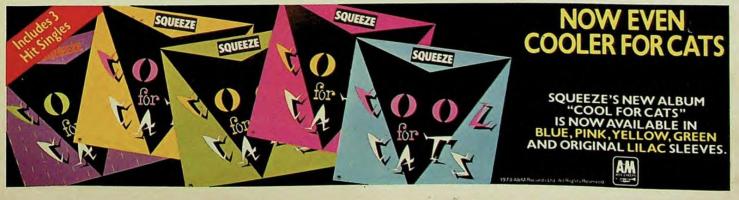 Squeeze: Cool For Cats Britain album ad