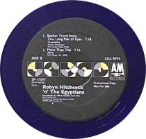 Robyn Hitchcock & the Egyptians: One Long Pair Of Eyes US 12-inch