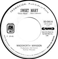 Wadsworth Mansion: Sweet Mary Mexico promo 7-inch