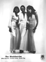 Blackberries Publicity Photo