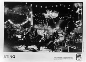 Sting publicity photo