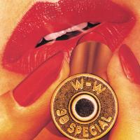 38 Special: Rockin' Into the Night US eAlbum