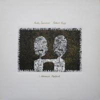 Andy Summers & Robert Fripp: I Advance Masked US vinyl album