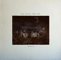 Andy Summers & Robert Fripp: Bewitched US vinyl album