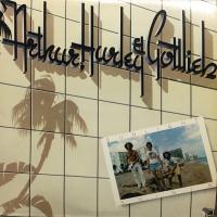 Arthur, Hurley & Gottlieb: Sunlight Shinin' US vinyl album