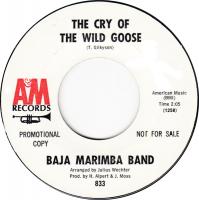 Baja Marimba Band Promo
