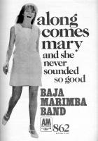 Baja Marimba Band Advert