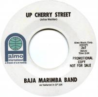 Baja Marimba Band Promo