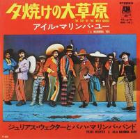 Baja Marimba Band: The Cry Of the Wild Goose Japan 7-inch