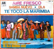 Baja Marimba Band 