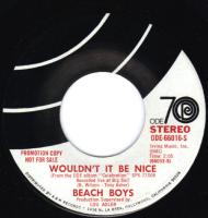 Beach Boys Promo