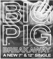 Big Pig Advert