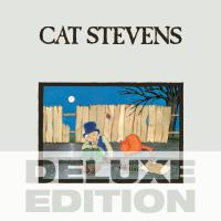 Cat Stevens 