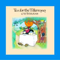 Cat Stevens: Tea For the Tillerman US CD album