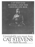 Cat Stevens Advert