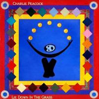 Charlie Peacock: Lie Down In the Grass US vinyl album