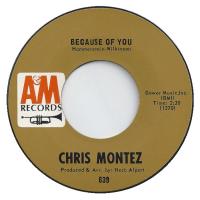 Chris Montez: Because Of You US 7-inch