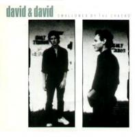 David + David 