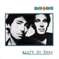 David + David 