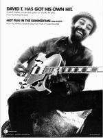 David T. Walker: Hot Fun In the Summertime/ US ad