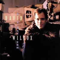 David Wilcox: The Big Horizon US CD album