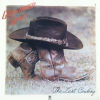 Gallagher & Lyle: The Last Cowboy US vinyl album