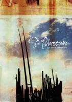 Gin Blossoms: Just South Of Nowhere US DVD