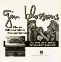Gin Blossoms Advert