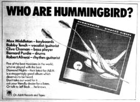Hummingbird Advert