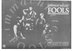 Immaculate Fools Advert