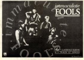 Immaculate Fools Advert