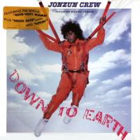 Jonzun Crew: Down to Earth US vinyl album