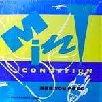 Mint Condition: Are You Free US 12-inch