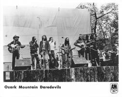 Ozark Mountain Daredevils Publicity Photo