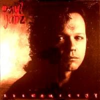 Paul Janz: Electricity US vinyl album
