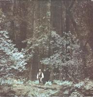 Paul Winter Consort: Something In the Wind US vinyl album