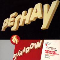 Peshay vs. DJ Shadow 
