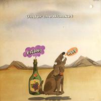 Pisano & Ruff: Under the Blanket US vinyl album
